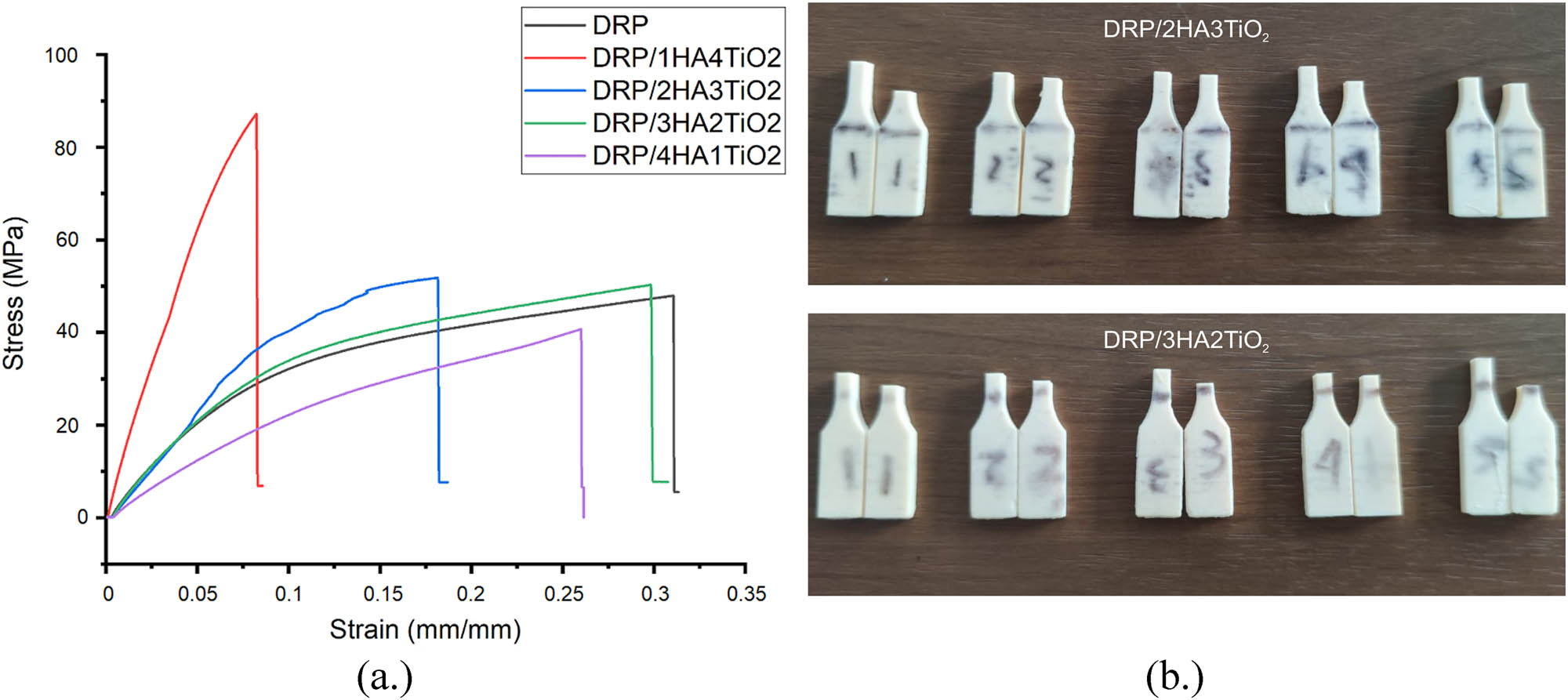 Figure 4
(a) Stress–strain graph of the 3D-printing specimen using DRP with the HA–TiO2 additive; (b) specimen after the tensile test.