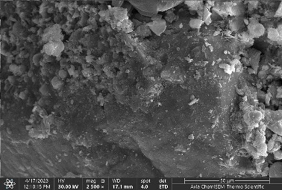 Figure 2 
                  SEM image of the geopolymer following a 7-day cure procedure.
               