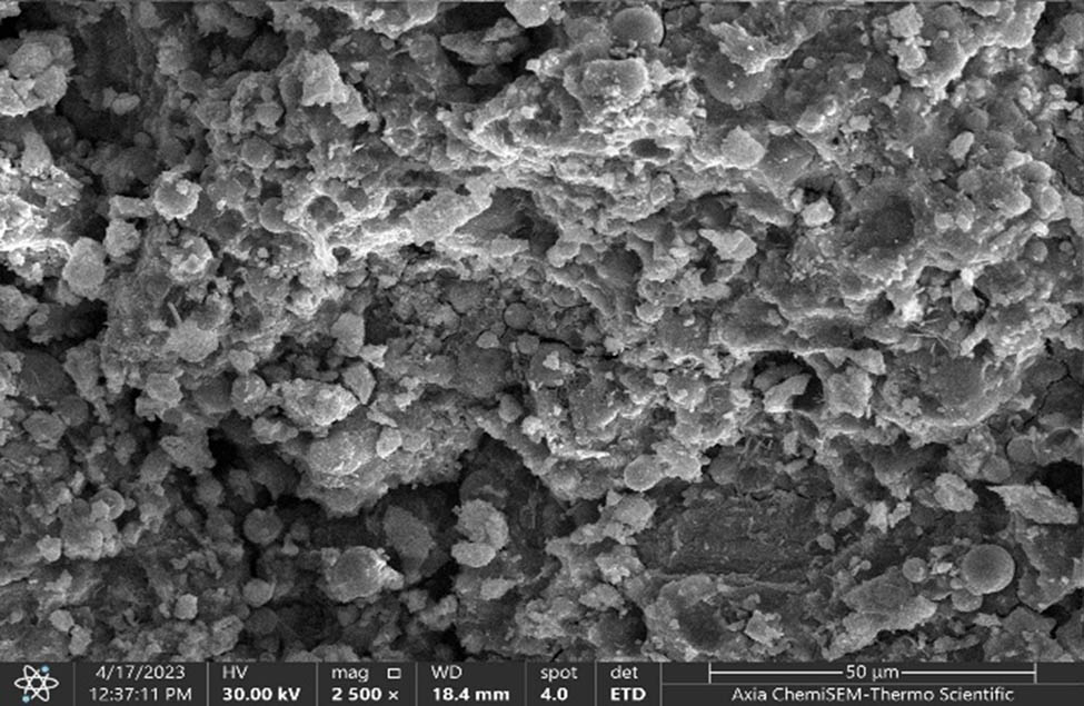 Figure 5 
                  SEM image of the geopolymer filled with 2% n-SiC after a 28-day curing procedure.
               
