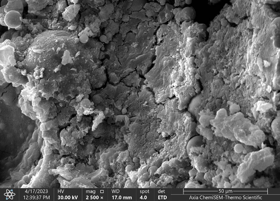 Figure 7 
                  SEM image of the geopolymer filled with 4% n-SiC after a 28-day curing procedure.
               
