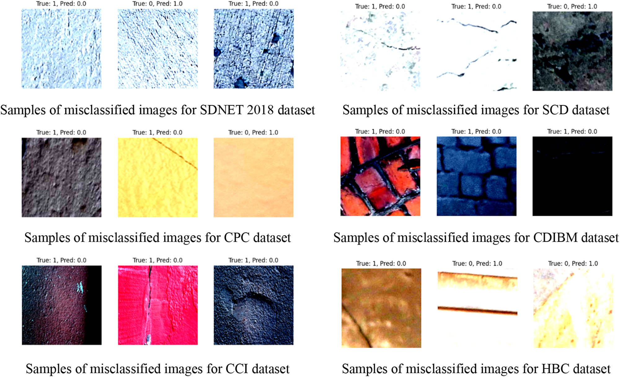 Figure 5 
                  Samples of the misclassified images for self-testing datasets.
               