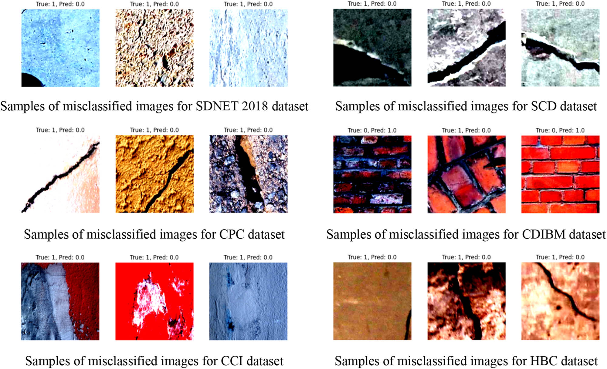 Figure 6 
                     Samples of the misclassified images for cross-testing datasets.
                  