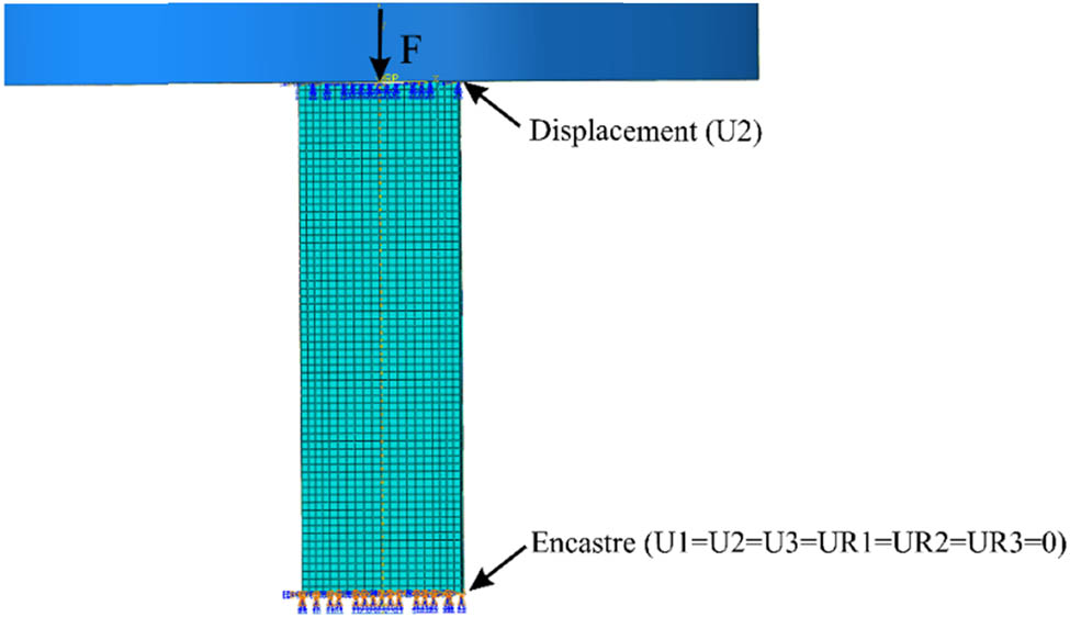 Figure 3 
                  Compressive load and boundary condition settings.
               