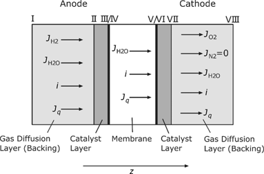 Figure 1: Schematic structure of the analyzed PEMFC.