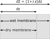 Figure 2: Volume element of the dry and wet membrane.