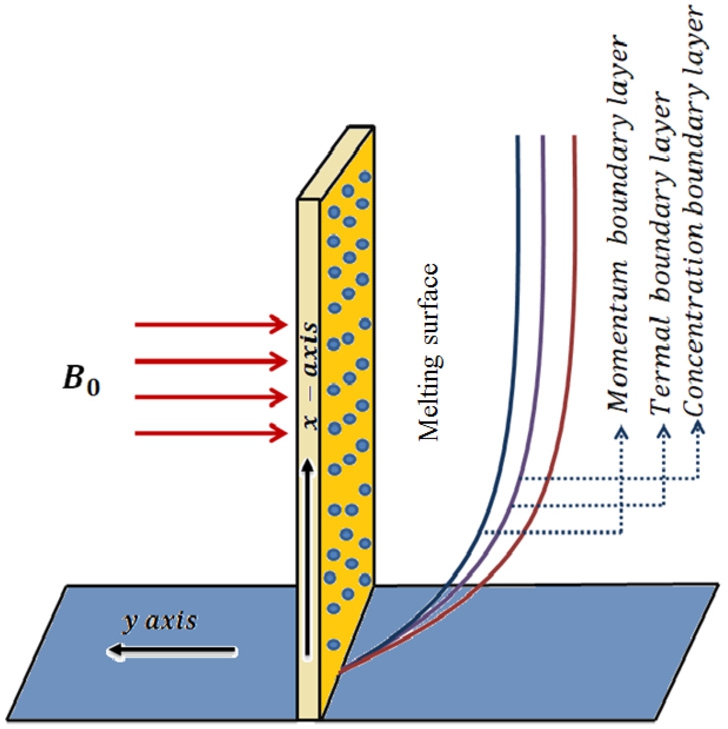 Figure 1 
Flow physical sketch.
