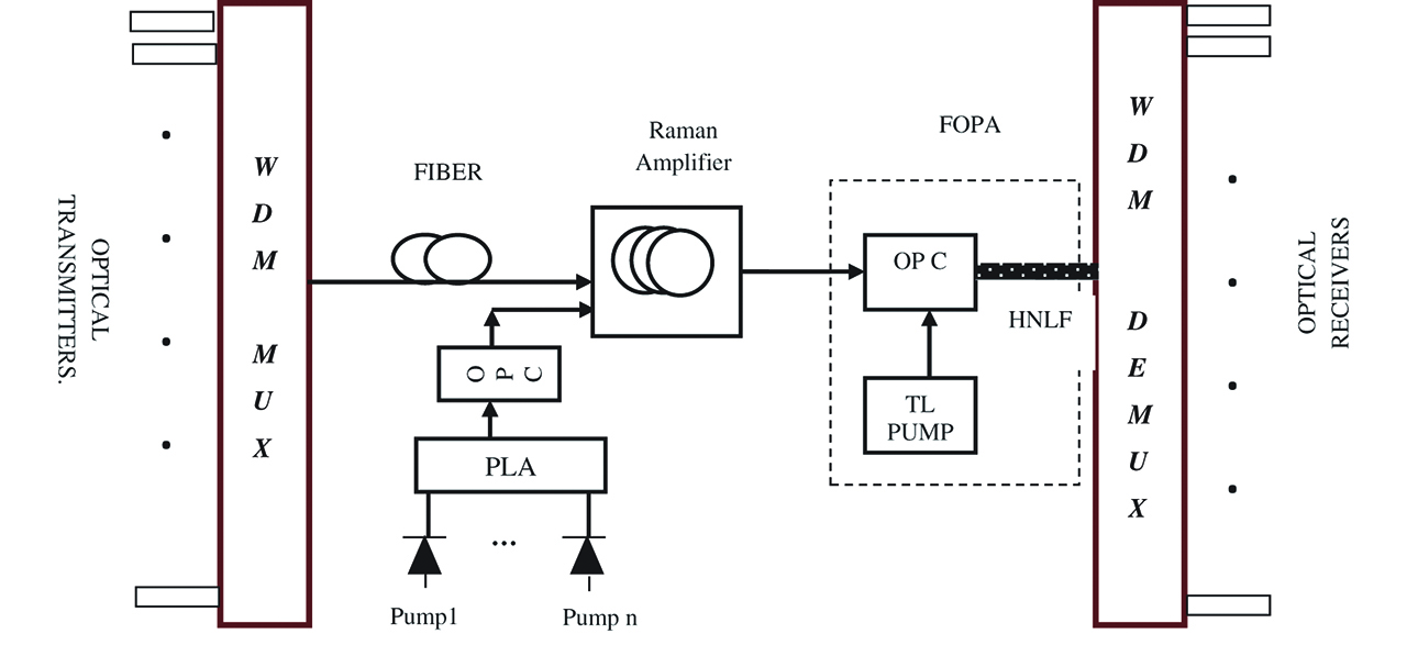 Figure 1: Schematic for Experimental setup. FRA-Fiber Raman Amplifier, OPC-Optical Power Coupler, PLA-Pump laser Array, TL-tunable laser.