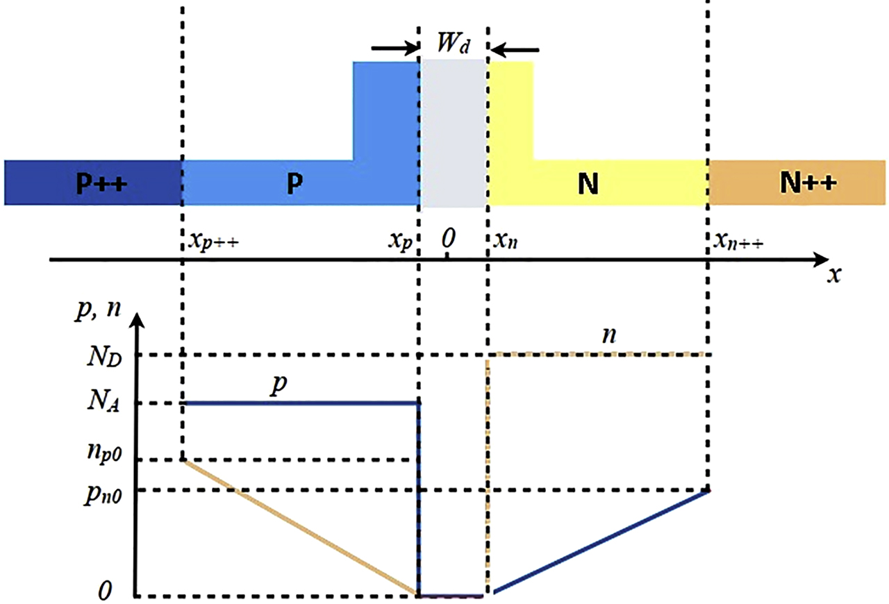 Figure 4: 
The cross-sectional view of PIN phase shifter carrier distribution along with 1D free-carrier distribution [16].
