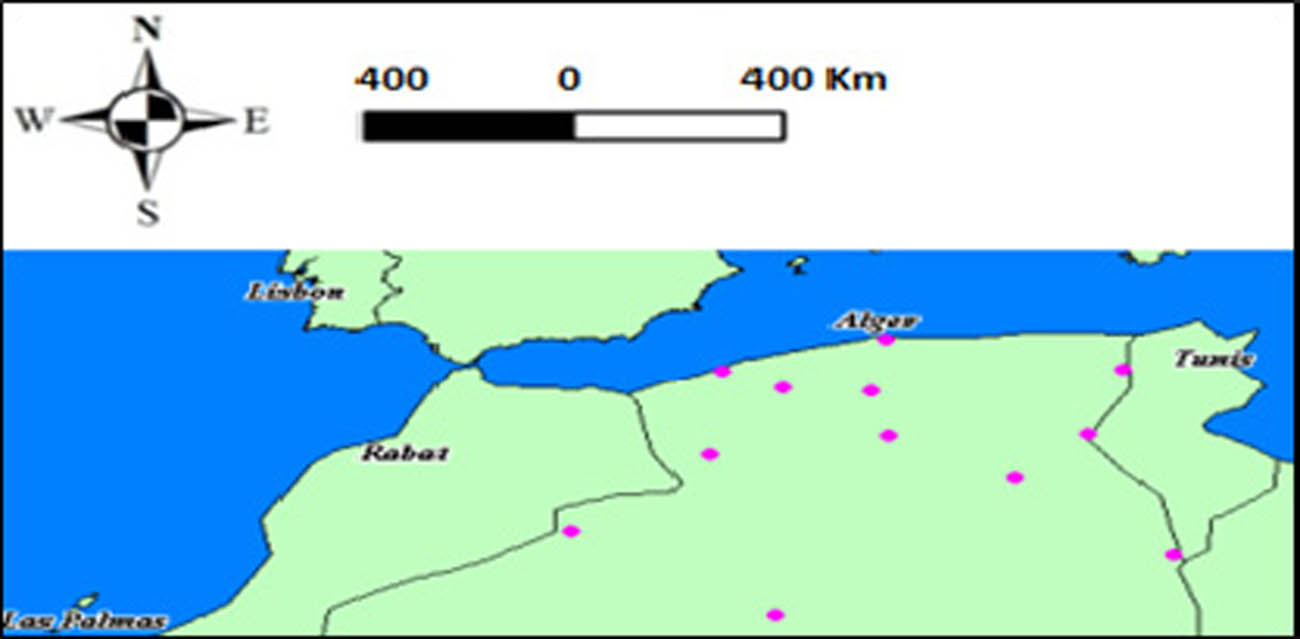 Figure 3
Distribution of zero-order North Algerian network of used benchmarks set for algorithm validation.