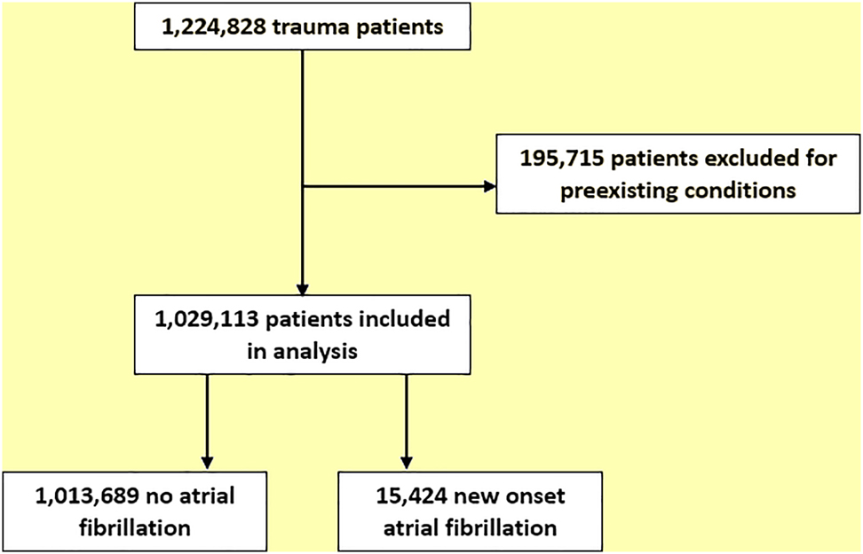 Figure 1: Consolidated standards of reporting trials (CONSORT) diagram depicting the flow of patients through this study.