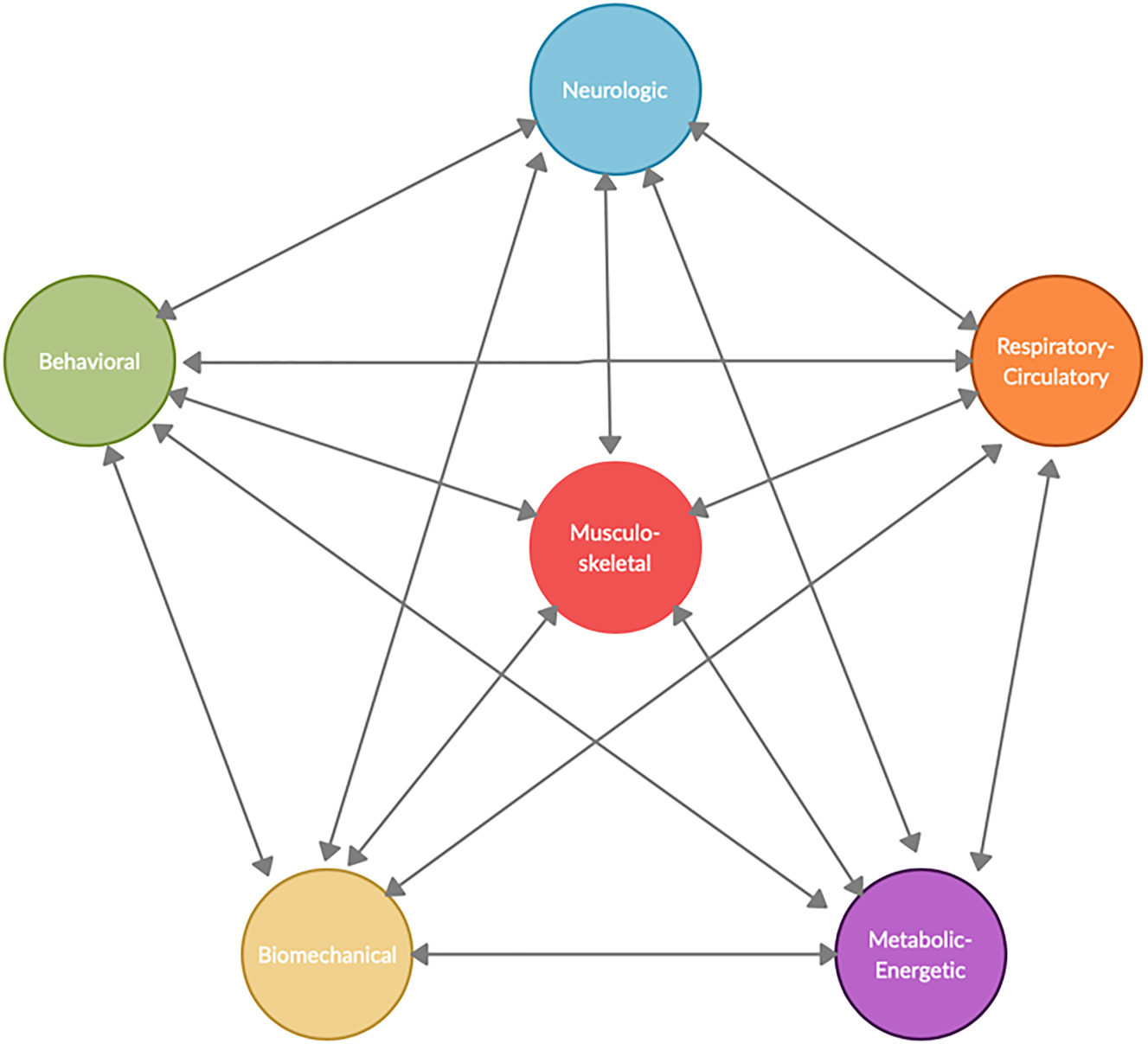 Figure 2: 
The Osteopathic 5 Models diagram, with the musculoskeletal system centrally integrated. This model acknowledges complex interactions between body systems.
