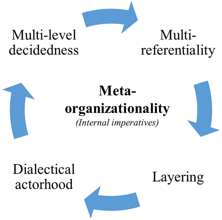 Figure 1: 
Meta-organizationality: internal imperatives of meta-organizations as transition intermediaries.