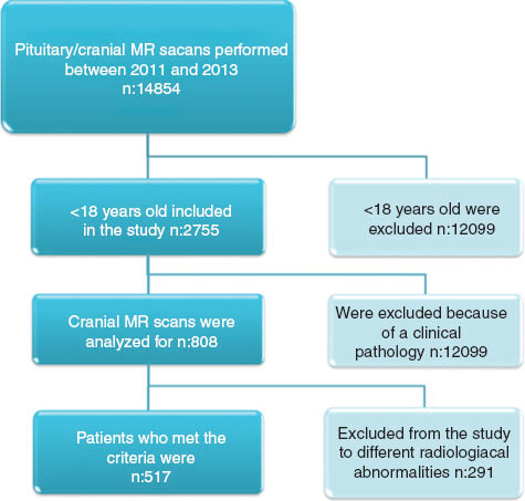 Figure 1 Flowchart of the study group.