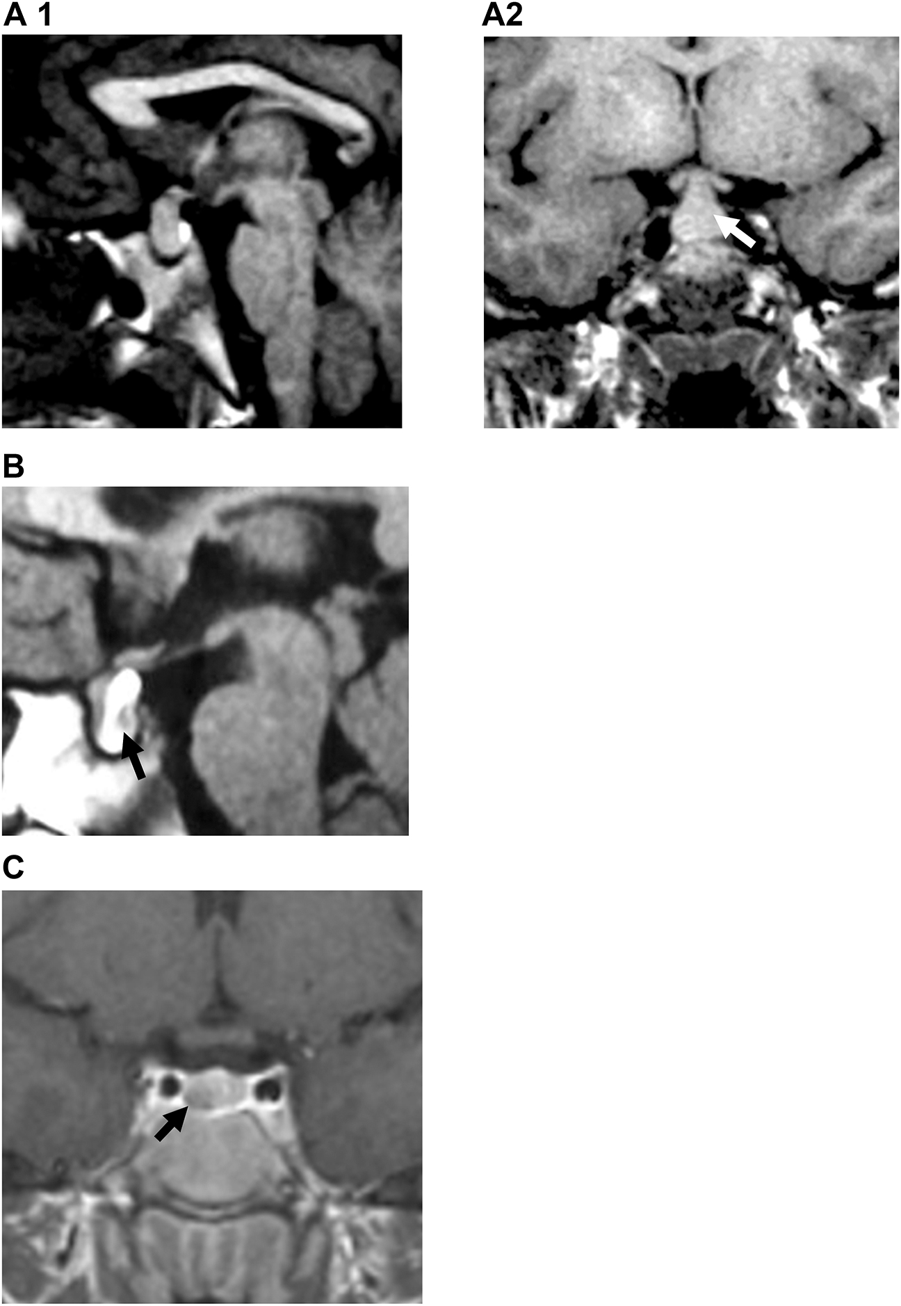 Teaser image from the article