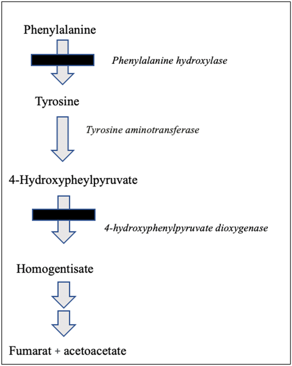 Teaser image from the article
