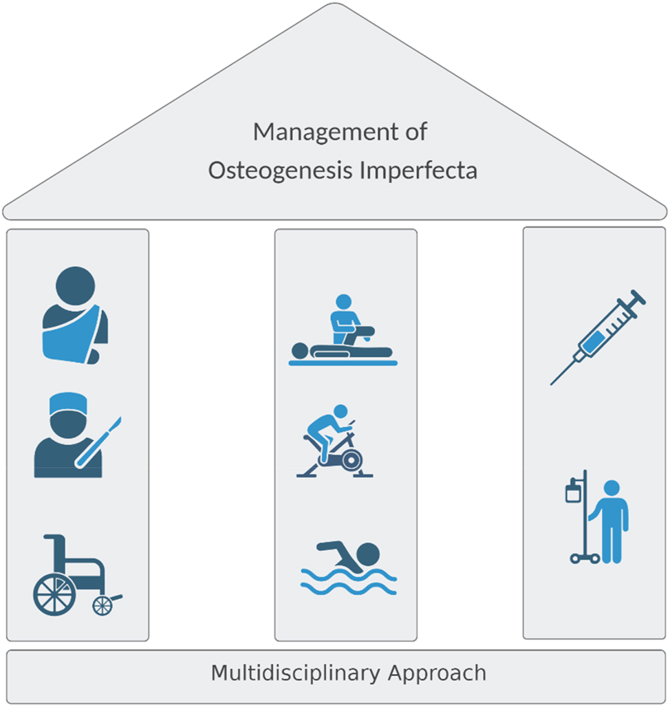Figure 3:
The three pillars of OI therapy. The multidisciplinary approach for OI patients includes physiotherapy, orthopedic management of acute fractures, and surgical correction of deformities and pharmacological therapy. Psychological support should always be provided to help the family managing a chronic, life-long condition.