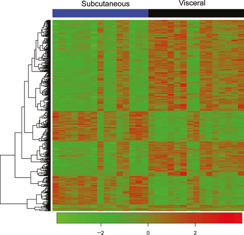 Figure 2: Heat map representing fat depot-specific differences in gene expression of pregnant women in labor.Heatmap showing the consistency of gene expression levels between subcutaneous and visceral regions of the adipose tissue of women in labor. Log2 transformed transcript expression values are centered and scaled row-wise.