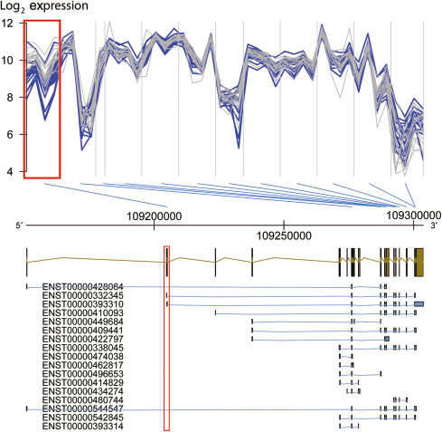 Figure 4: Differential exon usage for LIMS1 gene in subcutaneous adipose tissue of women with and without labor.The top panel shows the log2 expression of probes targeting 12 exonic regions of the LIMS1 gene (separated by vertical gray lines). There are 1–4 probes per probeset. Each line corresponds to a sample, with colors blue and gray denoting one patient with and without labor, respectively. The second exon from the 5′ end targeted by Affymetrix probeset ID 2499062 (see red rectangles), shows systematically lower expression in women in labor, while the expression level for all other exons is very similar between groups, hence resulting in significantly lower FIRMA scores for this probeset between groups. The middle panel shows the genomic region and the gene model with each exon represented by one olive-colored rectangle. ENSEMBL transcripts that do or do not include the exon with differential usage are represented in blue with their corresponding identifiers.