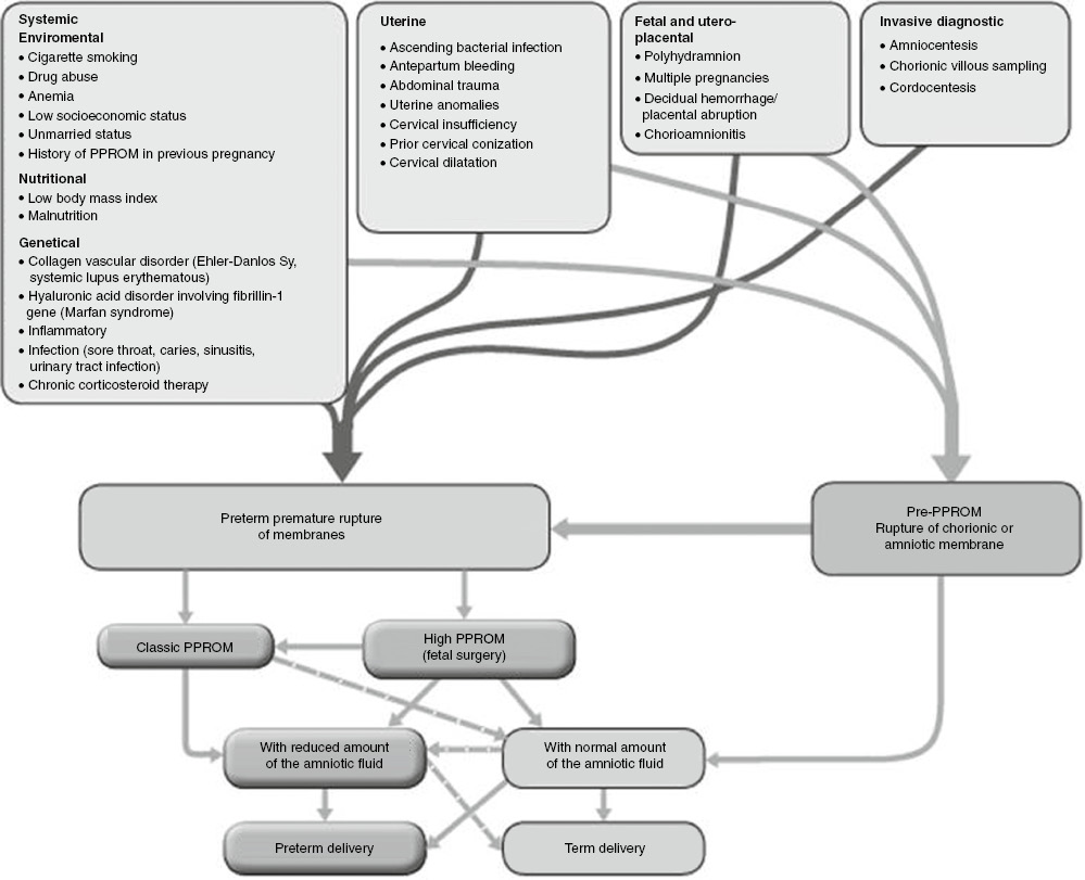 Figure 2: PPROM classification in second trimester.“Pre-PPROM” with the rupture of only one of both membranes and positive PPROM tests. “High PPROM” with the defect of chorio-amniotic membranes located higher than internal cervical os. In cases with “high PPROM” the amount of amniotic fluid could be normal fetoscopy unfortunately completely achieves the diagnostic criteria of the high PPROM without leak. “Classic” PPROM” is the rupture of the chorio-amniotic membranes in the supra-cervical area with anhydramnion and, as a consequence, worse outcome. In some cases, the classic PPROM could be triggered by the high PPROM with amniotic fluid leak leading to damage of the cervical mucosal barrier.