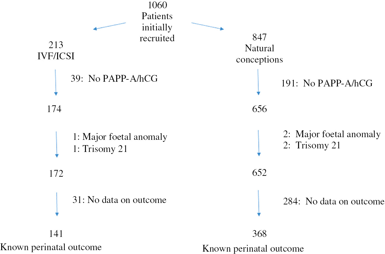 Figure 1: Recruitment of the patients from the IVF/ICSI and control groups.