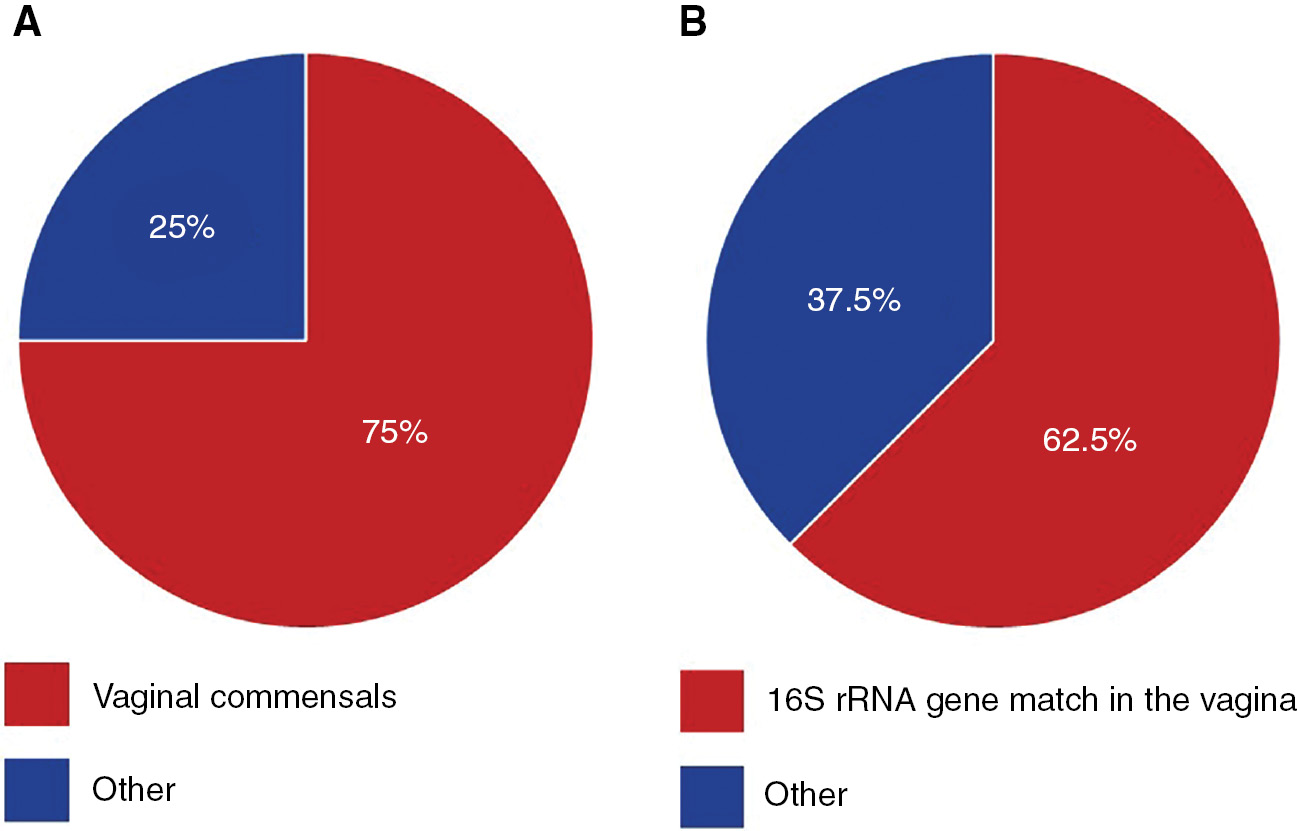 Figure 1: Pie charts illustrating the relationships between bacteria isolated from the amniotic fluid and vaginal microbiota.The percentage of women for whom the bacteria isolated from their amniotic fluid samples (A) were typical commensals of the human vaginal ecosystem, and (B) had exact matches of their 16S rRNA genes also detected among the vaginal microbiota.