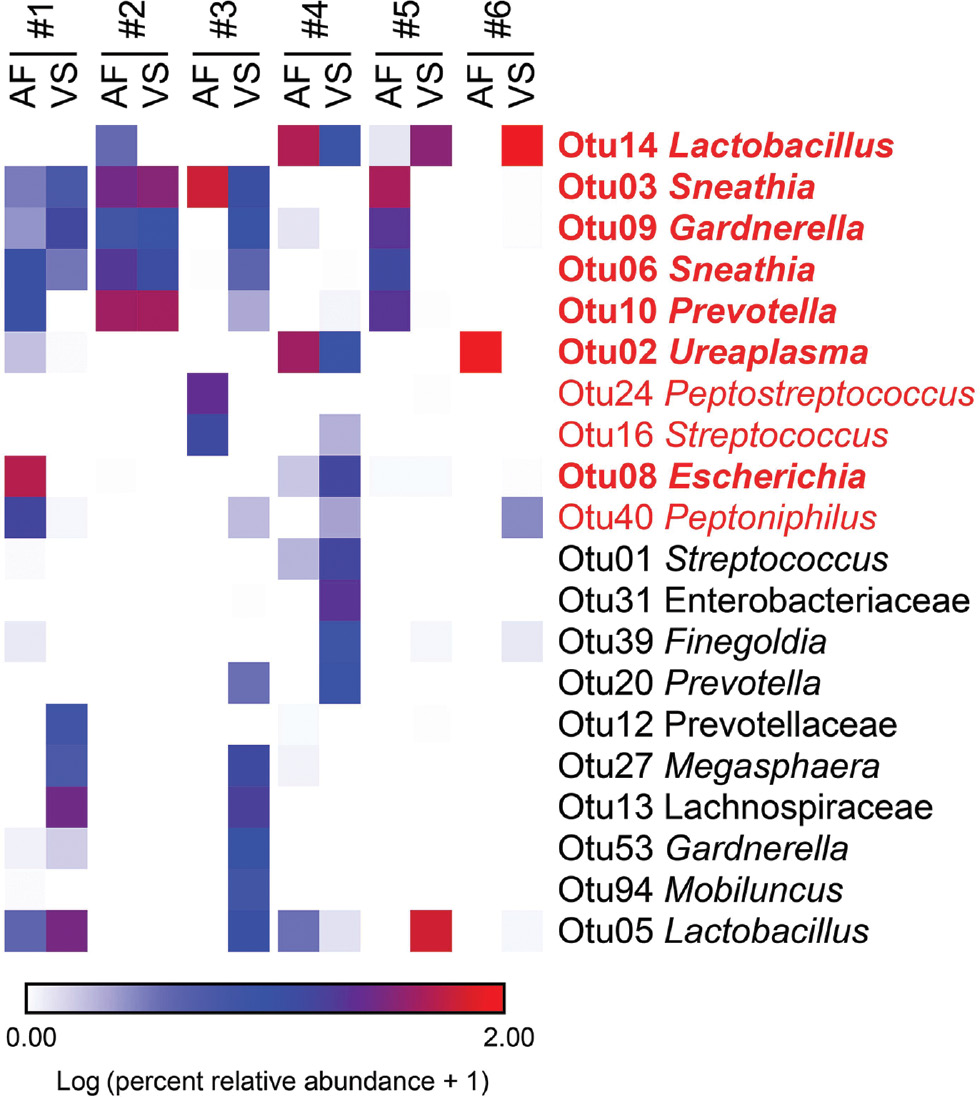 Figure 3: Heat map illustrating similarity in percent relative abundances of prominent (≥1% average relative abundance) operational taxonomic units (OTUs) among paired amniotic fluid (AF) and vaginal swab (VS) samples of six women with intra-amniotic infection confirmed through culture.OTUs that were prominent among amniotic fluid samples are highlighted in red. OTUs that were prominent only among vaginal swab samples are in black. OTUs that were prominent in both amniotic fluid and vaginal swab samples are in bold red font.