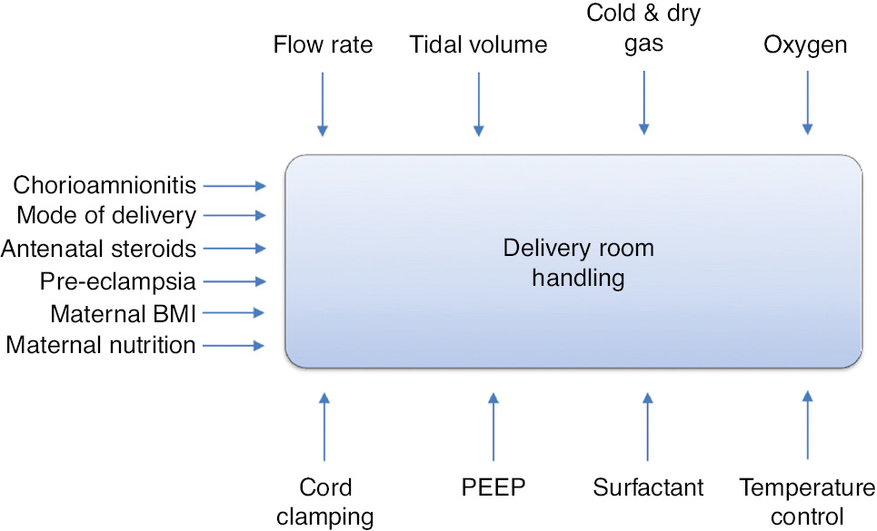 Figure 1: Factors influencing the Golden Minute(s) and outcome of delivery room handling.