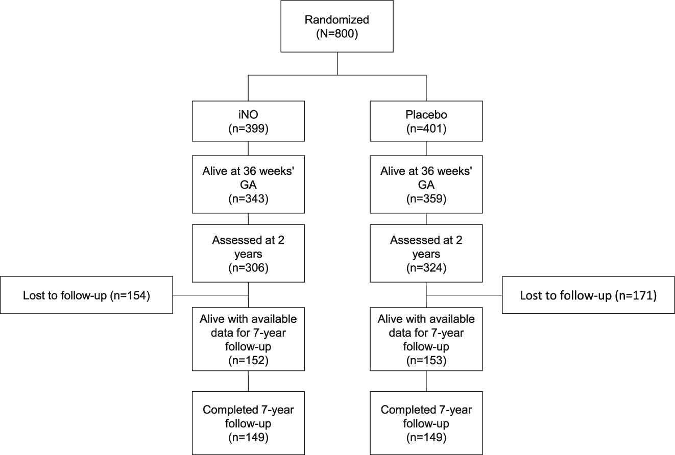 Figure 1: Patient disposition. GA, gestational age; iNO, inhaled nitric oxide.