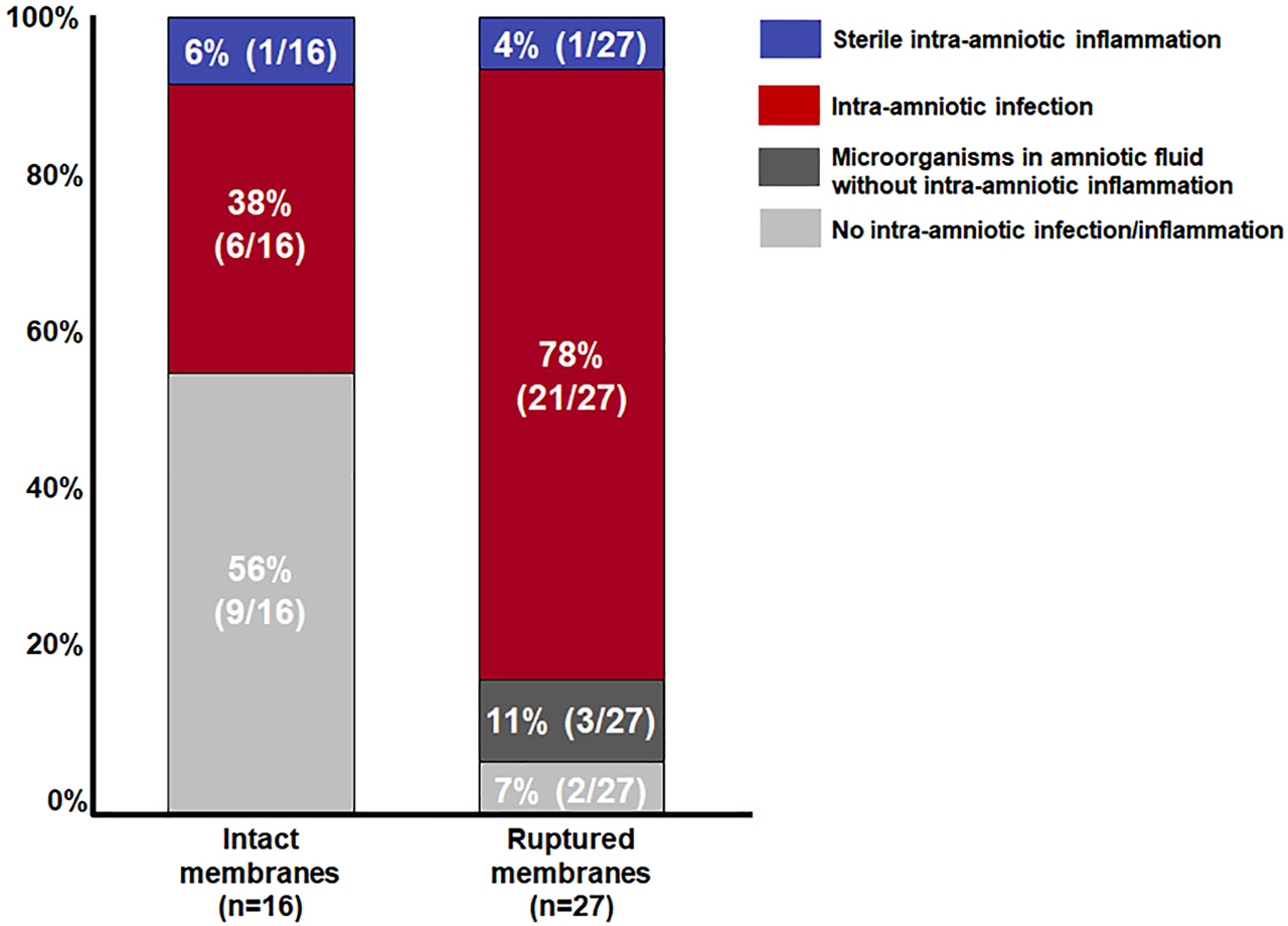 Figure 1: 
Prevalence of intra-amniotic infection and sterile intra-amniotic inflammation in patients with clinical chorioamnionitis at term according to the status of the membranes at the time of amniocentesis (intact vs. ruptured).
