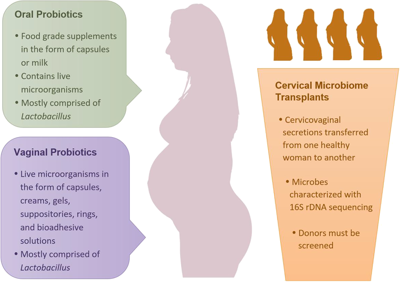 Figure 1: Three methods of vaginal microbiome restoration.