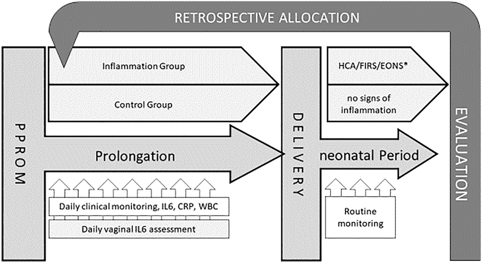 Figure 1: Study design.∗HCA, histological chorioamnionitis (Redline maternal stage 2 or higher, fetal any stage); FIRS, fetal inflammatory response (cord blood IL-6>60 pg/mL); EONS, early onset neonatal sepsis (clinical signs of sepsis within first 72 h of life).