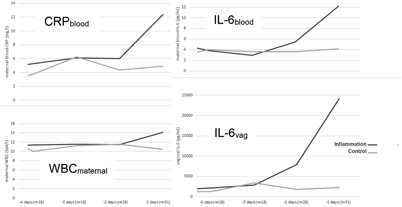 Figure 6: IL-6vag concentration and maternal blood values grouped for days before delivery.
