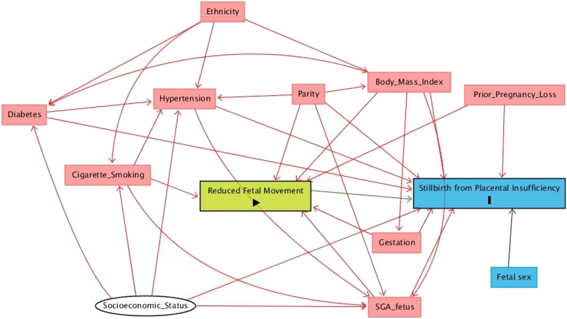 Figure 2: 
Directed acyclic graph showing relationship of potential interactions between different factors which may affect the association between reduced fetal movements (exposure) and placental insufficiency (outcome).
Unmeasured factors are shown in grey oval, measured factors are shown in red boxes. This identified that the minimum variables required for adjustment for covariates was body mass index, smoking status, gestation, number of pregnancies and the frequency of small for gestational age infants.
