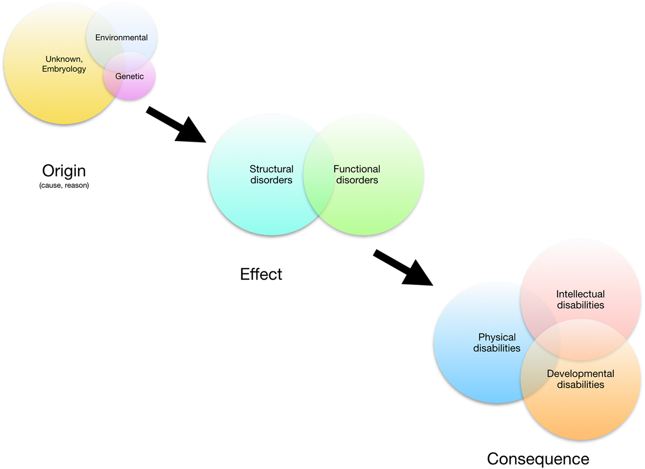 Figure 2:
Congenital disorders: origin, effect, consequence.
