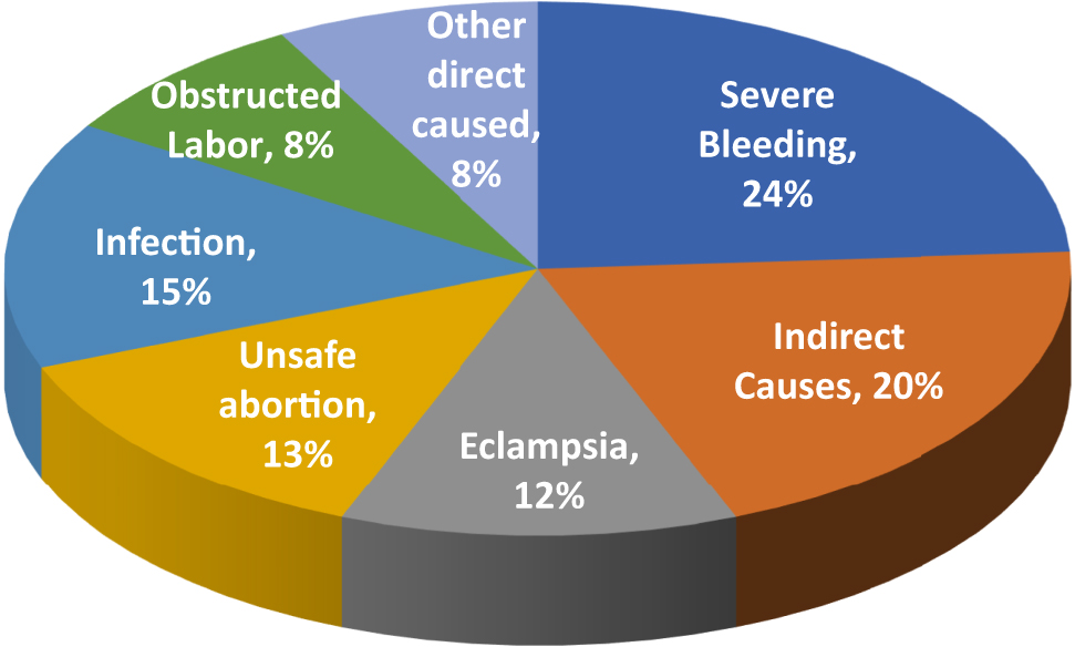 Figure 1: 
Causes of maternal mortality. USAID website (2006) adapted from “maternal health around the world” world health organization, Geneva, 1997 [5].

