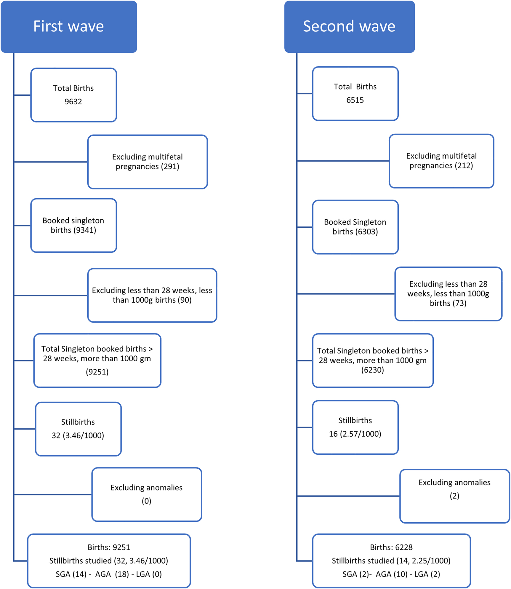 Figure 1: 
Flow chart of data analysis.
