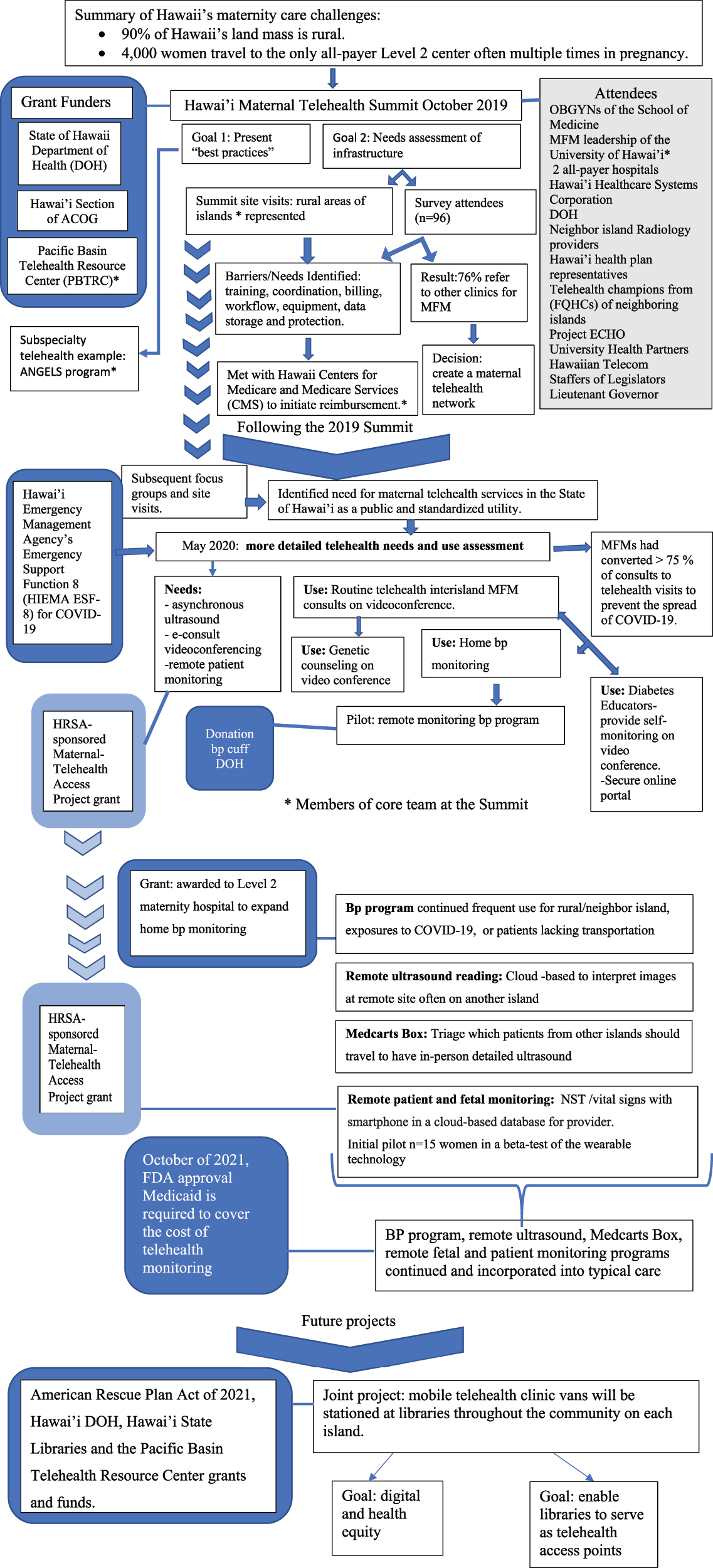 Figure 1: 
Process of telehealth infrastructure formation since 2019 in Hawai‘i.
