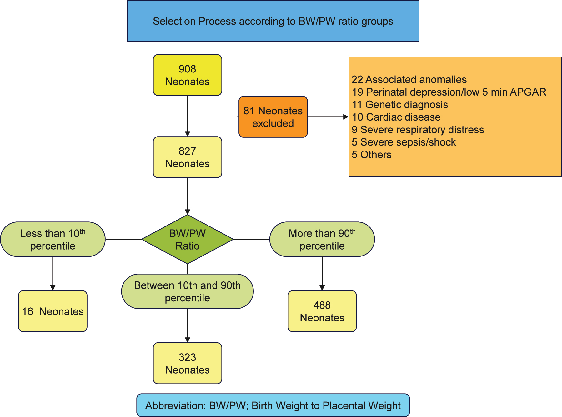 Figure 1: 
Overview of the selection process of neonates according to BW/PW ratio groups in our study.