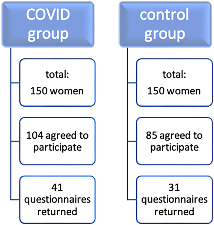 Figure 1: 
Participants and response rates in the COVID group and control group.
