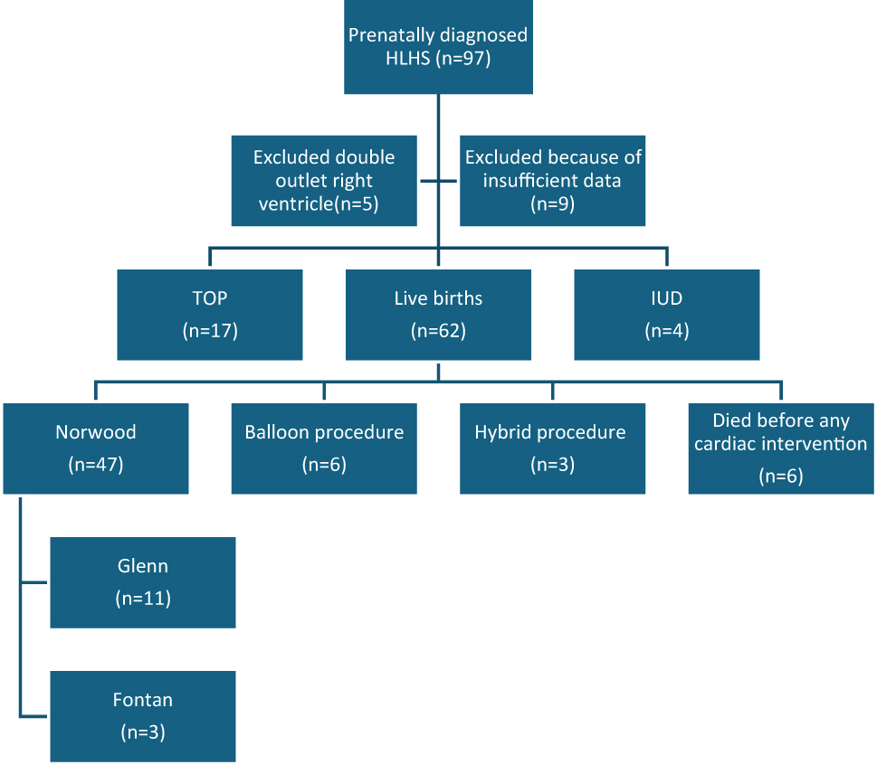 Teaser image from the article