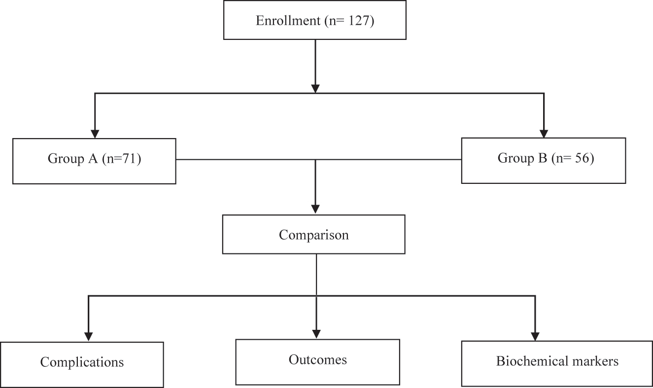 Figure 1: 
Flow diagram of the present study.

