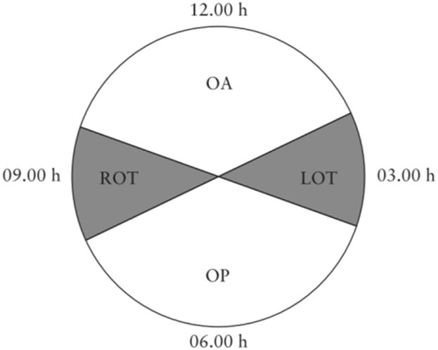 Figure 1: 
Schematic diagram of the clock dial for fetal position.
