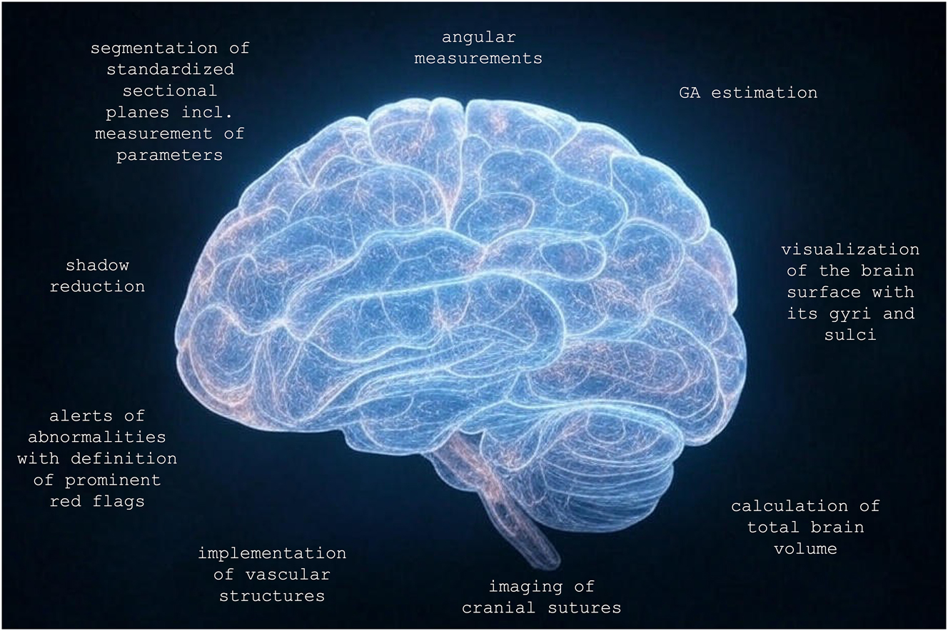 Figure 3: 
Optimized 3D volume and further post-processing aspects. GA, gestational age. Generated in parts by Grok 3.