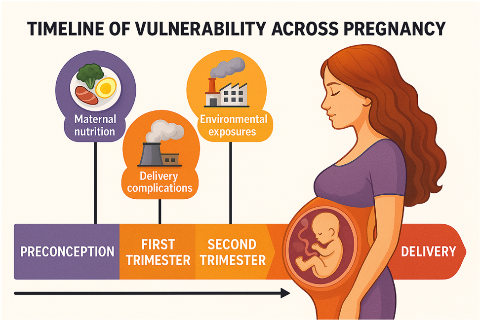 Figure 1:
Timeline of vulnerability across pregnancy. This infographic presents a trimester-based timeline illustrating critical periods of environmental and physiological vulnerability throughout pregnancy. The progression from preconception to delivery is visually segmented into color-coded phases – each associated with distinct biological sensitivities. Key exposures include: Maternal nutrition during the preconception and first trimester, influencing fetal epigenetic programming, environmental exposures (e.g., air pollution, EDCs) with cumulative effects across all trimesters, delivery complications potentially triggered by late-gestation stressors and placental dysfunction. The image emphasizes how exposures during different windows of gestation can disrupt fetal development and increase the risk of preterm birth, highlighting the necessity for temporally tailored interventions.