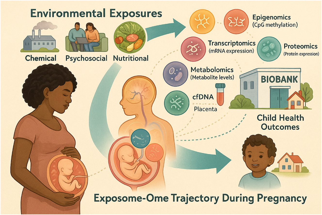 Figure 7:
Clinical integration of exposomic and omic data across the maternal–fetal continuum. This infographic presents a clinical workflow for integrating environmental exposures and omic data throughout the maternal–fetal care continuum. It outlines key stages – from preconception intake and cfDNA-based epigenetic screening, to mid-pregnancy metabolomics, microbiome profiling, and placental biobanking. The model supports personalized risk assessment and early intervention, showcasing how multi-omic and exposomic tools can inform precision prenatal care and long-term child health.