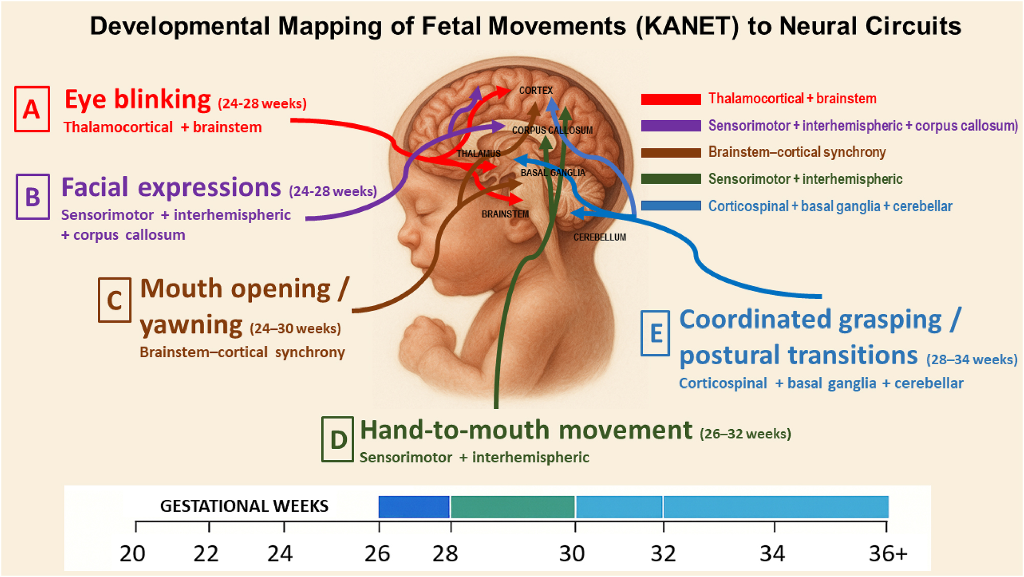 Teaser image from the article
