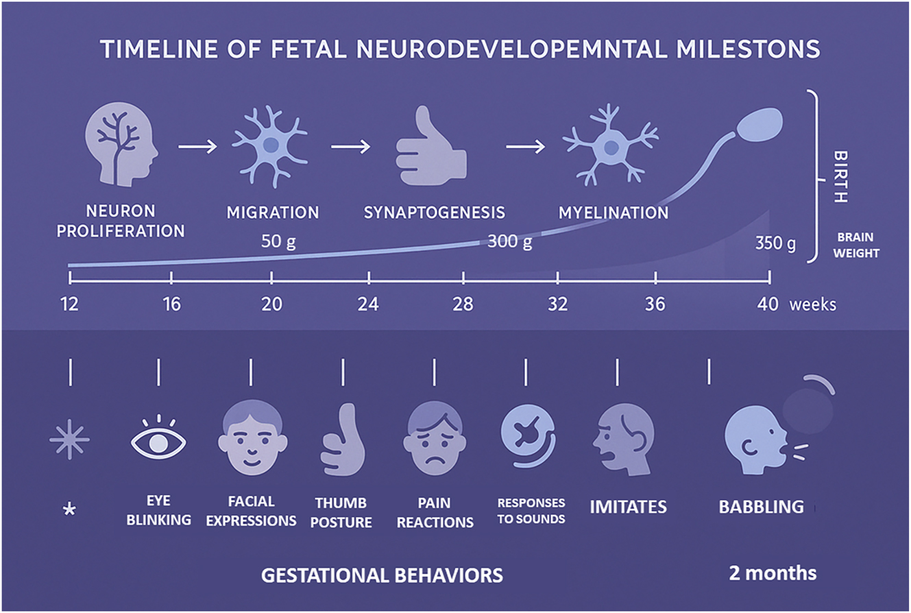 Teaser image from the article
