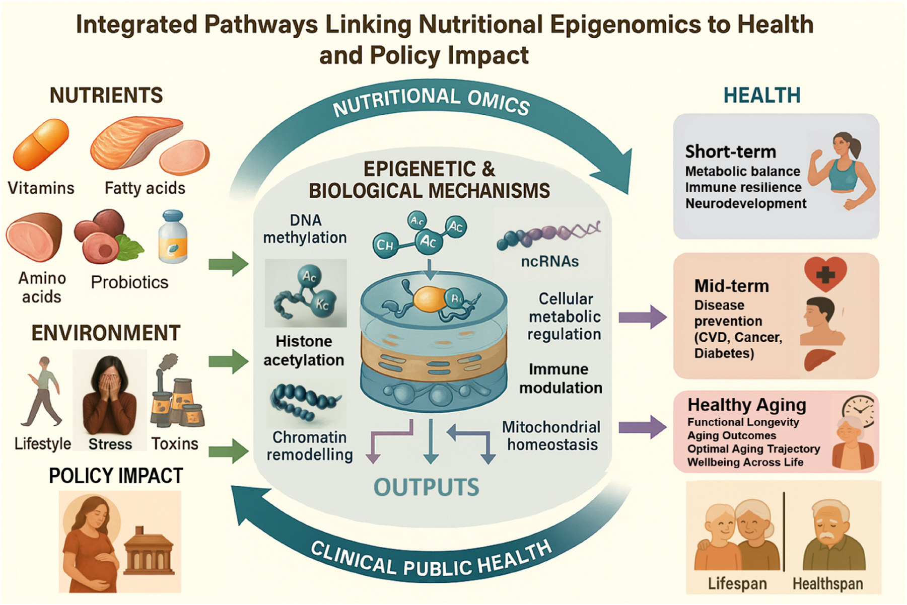 Teaser image from the article