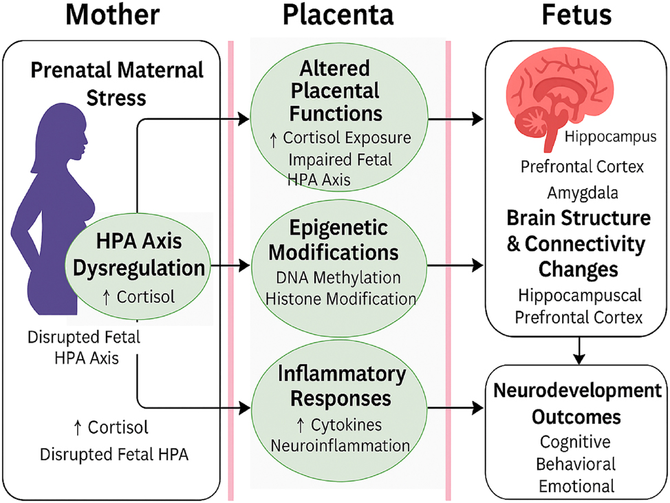 Teaser image from the article
