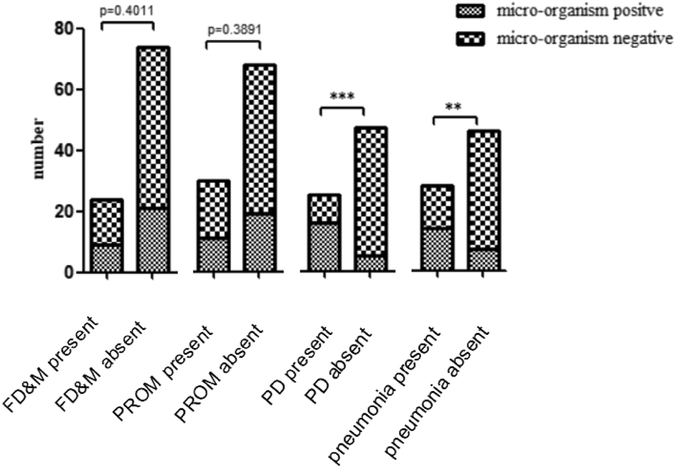 Figure 2: 
Correlation between adverse clinical phenotypes and microorganisms identified positive in umbilical cord samples. FD&M, fetal death and miscarriage; PROM, premature rupture of the membranes; PD, preterm birth;***p < 0.0005;**p < 0.005.
